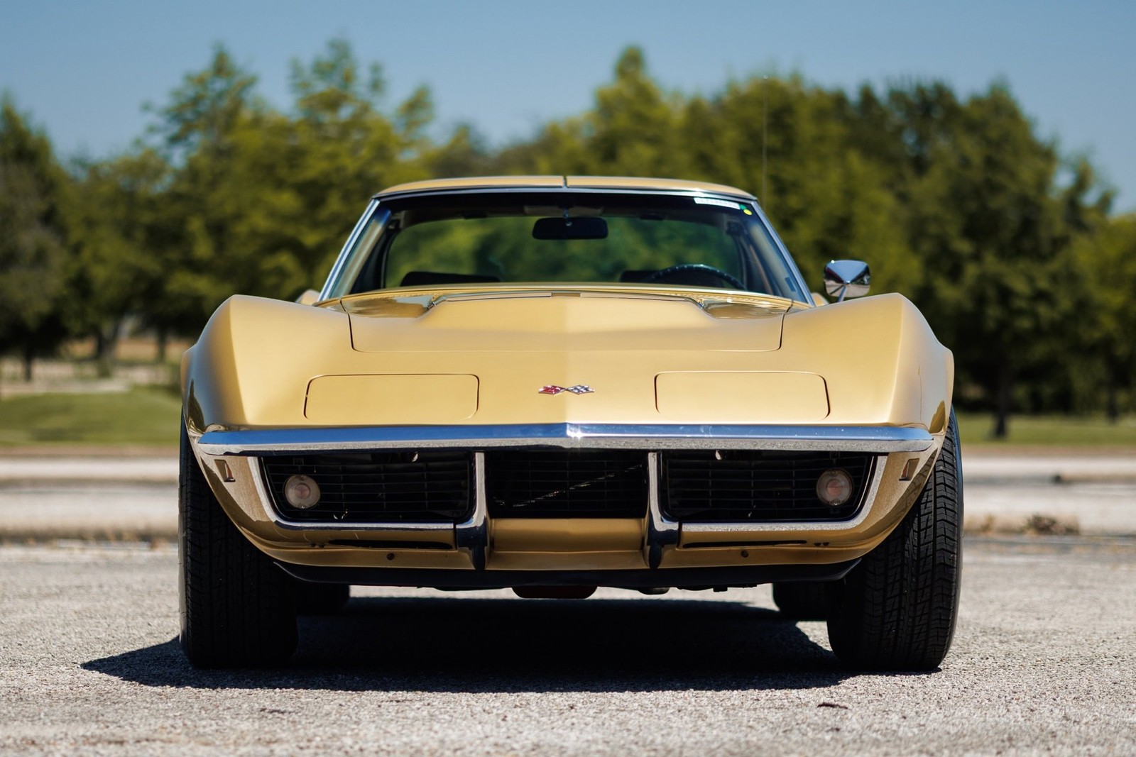 Chevrolet-Corvette-427390-1969-Coupe-15