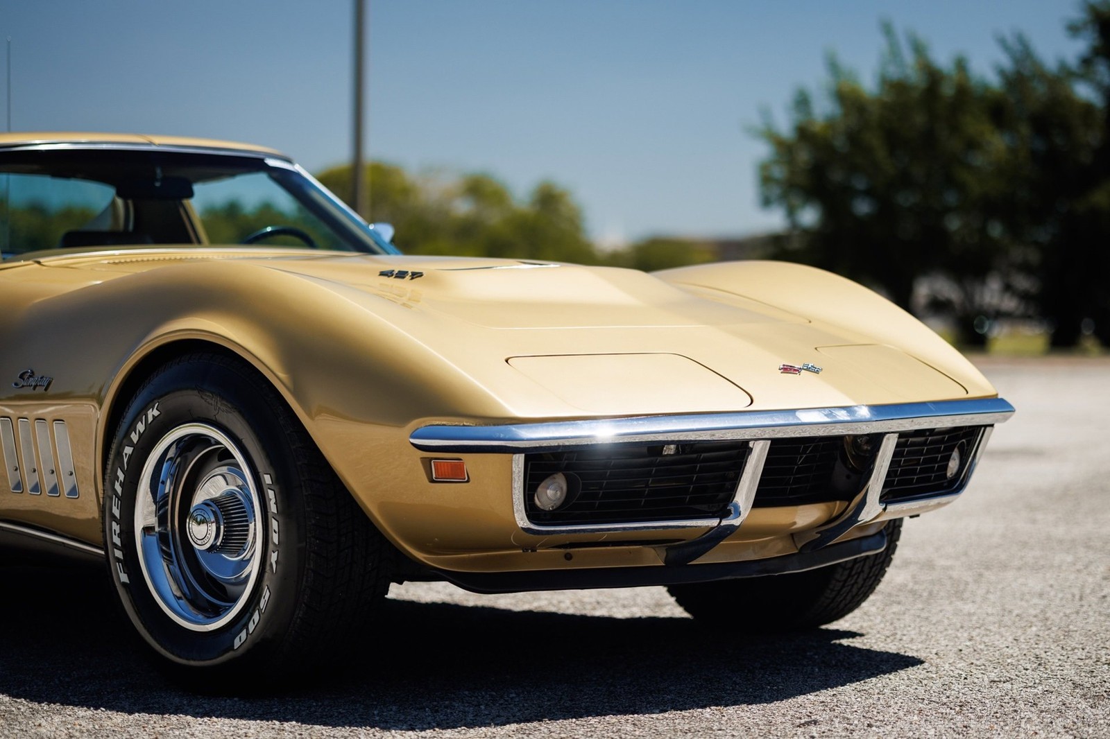 Chevrolet-Corvette-427390-1969-Coupe-16