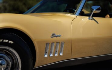 Chevrolet-Corvette-427390-1969-Coupe-23