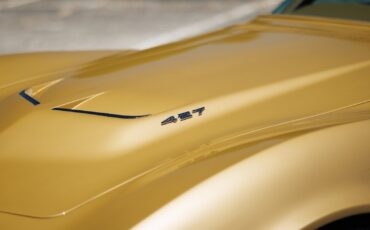 Chevrolet-Corvette-427390-1969-Coupe-33