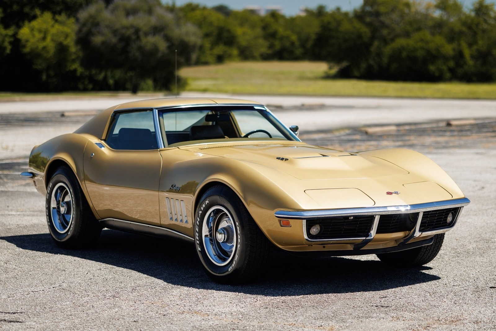 Chevrolet-Corvette-427390-1969-Coupe-6
