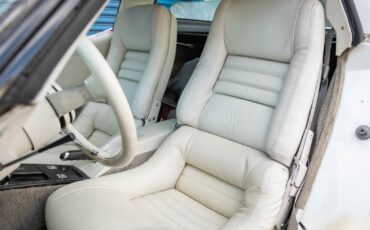 Chevrolet-Corvette-L82-350325HP-V8-4-spd-manual-1979-2-Door-Coupe-27