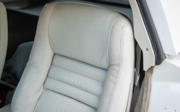 Chevrolet-Corvette-L82-350325HP-V8-4-spd-manual-1979-2-Door-Coupe-29