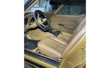 Chevrolet-Corvette-stingray-1969-River-Side-Gold-saddle-10