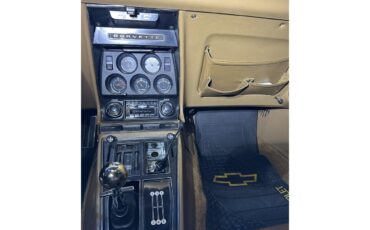 Chevrolet-Corvette-stingray-1969-River-Side-Gold-saddle-11