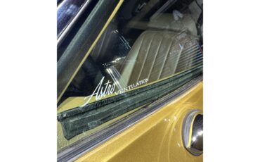 Chevrolet-Corvette-stingray-1969-River-Side-Gold-saddle-15