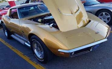 Chevrolet-Corvette-stingray-1969-River-Side-Gold-saddle-16