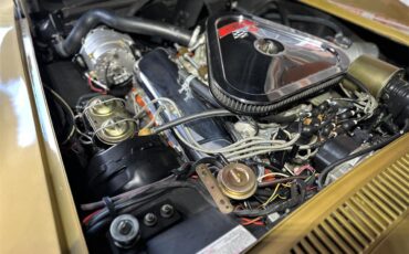 Chevrolet-Corvette-stingray-1969-River-Side-Gold-saddle-17
