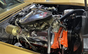 Chevrolet-Corvette-stingray-1969-River-Side-Gold-saddle-18