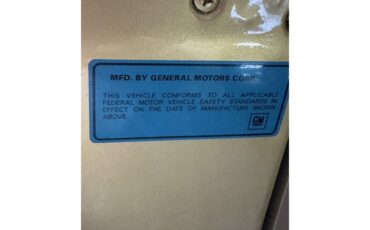 Chevrolet-Corvette-stingray-1969-River-Side-Gold-saddle-37