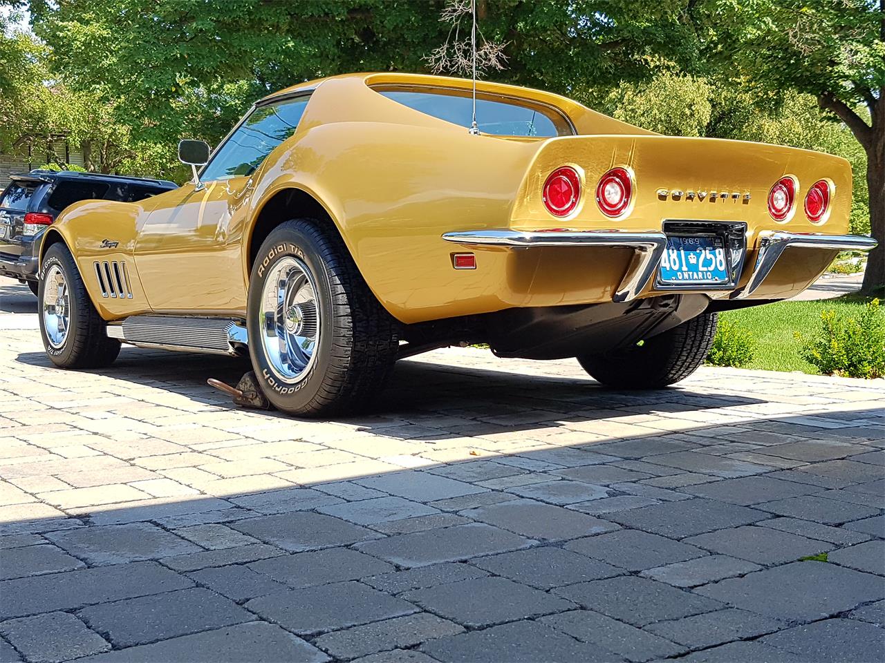 Chevrolet-Corvette-stingray-1969-River-Side-Gold-saddle-7