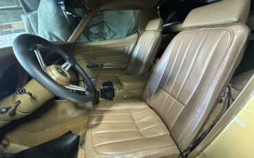 Chevrolet-Corvette-stingray-1969-River-Side-Gold-saddle-9