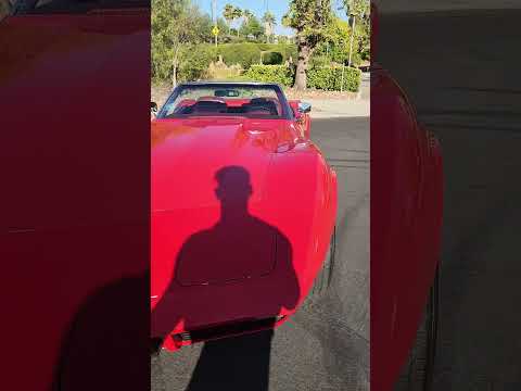 Chevrolet-Corvette-stingray-1974-Red-Red-8