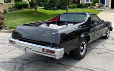 Chevrolet El Camino 1976 Standard Cab Pickup