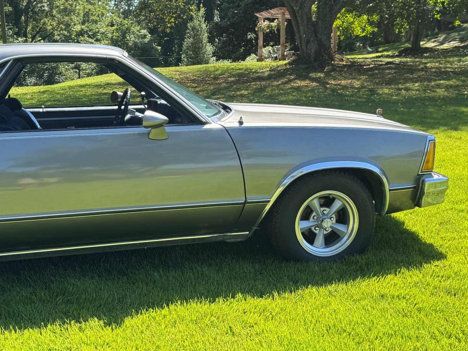 Chevrolet-El-Camino-1980-13