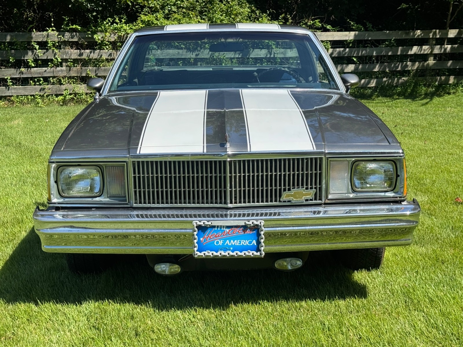 Chevrolet-El-Camino-1980-15