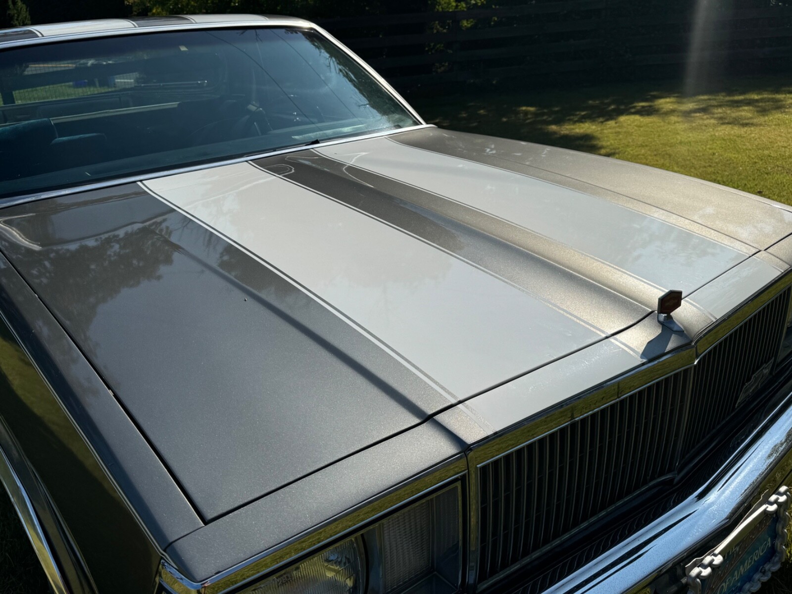 Chevrolet-El-Camino-1980-16