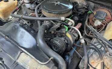 Chevrolet-El-Camino-1980-19