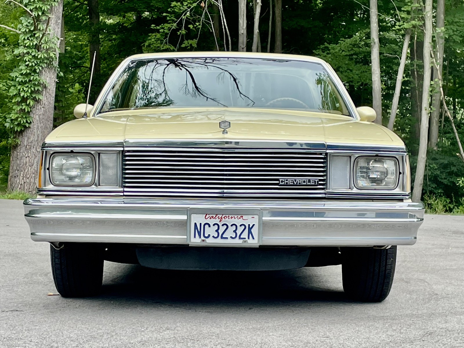 Chevrolet-El-Camino-1980-CALIFORNIA-CAR-5