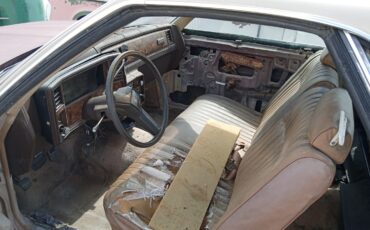 Chevrolet-El-Camino-1981-1