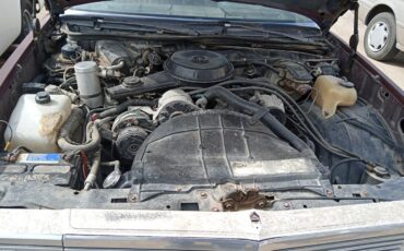 Chevrolet-El-Camino-1981-4