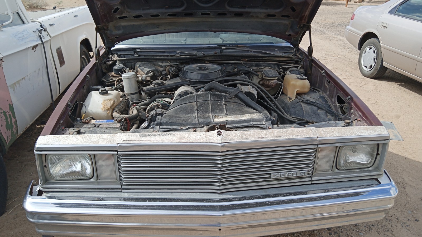 Chevrolet-El-Camino-1981-5