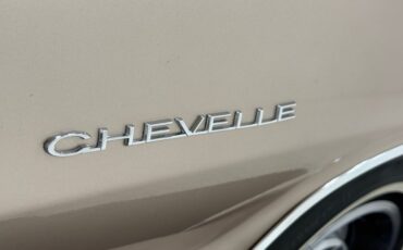 Chevrolet-El-camino-1964-Almond-Fawn-Medium-Fawn-23