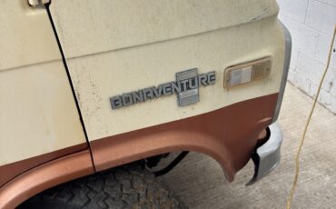 Chevrolet-G20-Van-1981-Extended-Passenger-Van-2