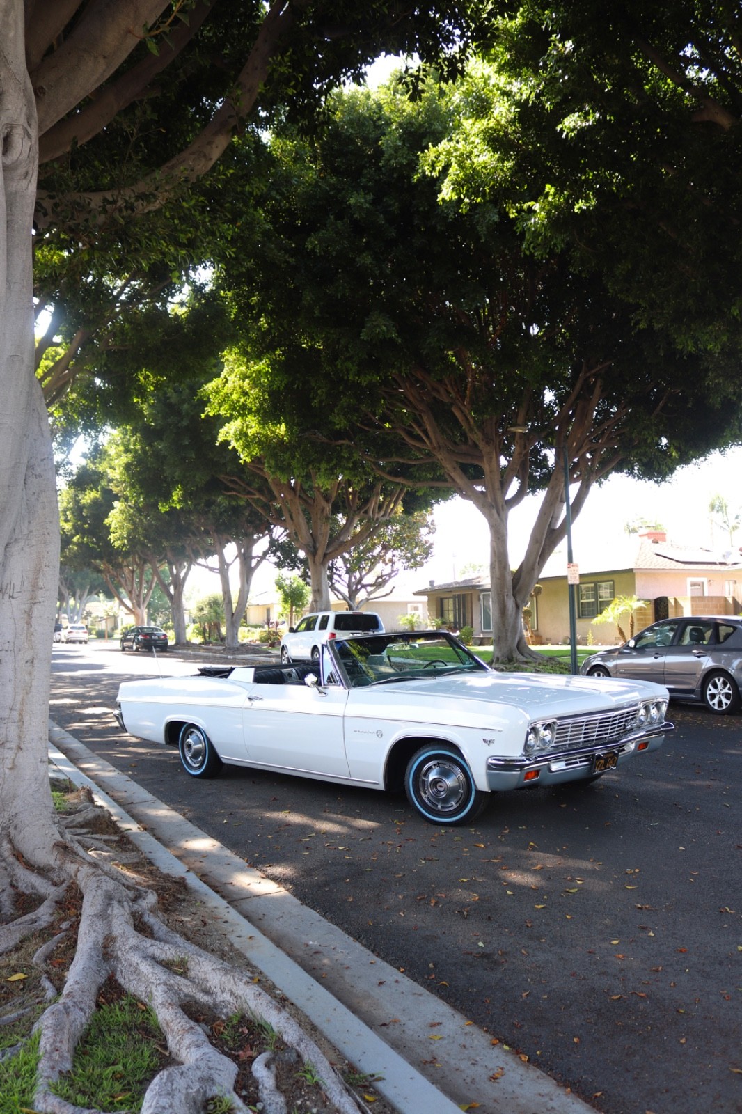 Chevrolet-Impala-1966-Convertible