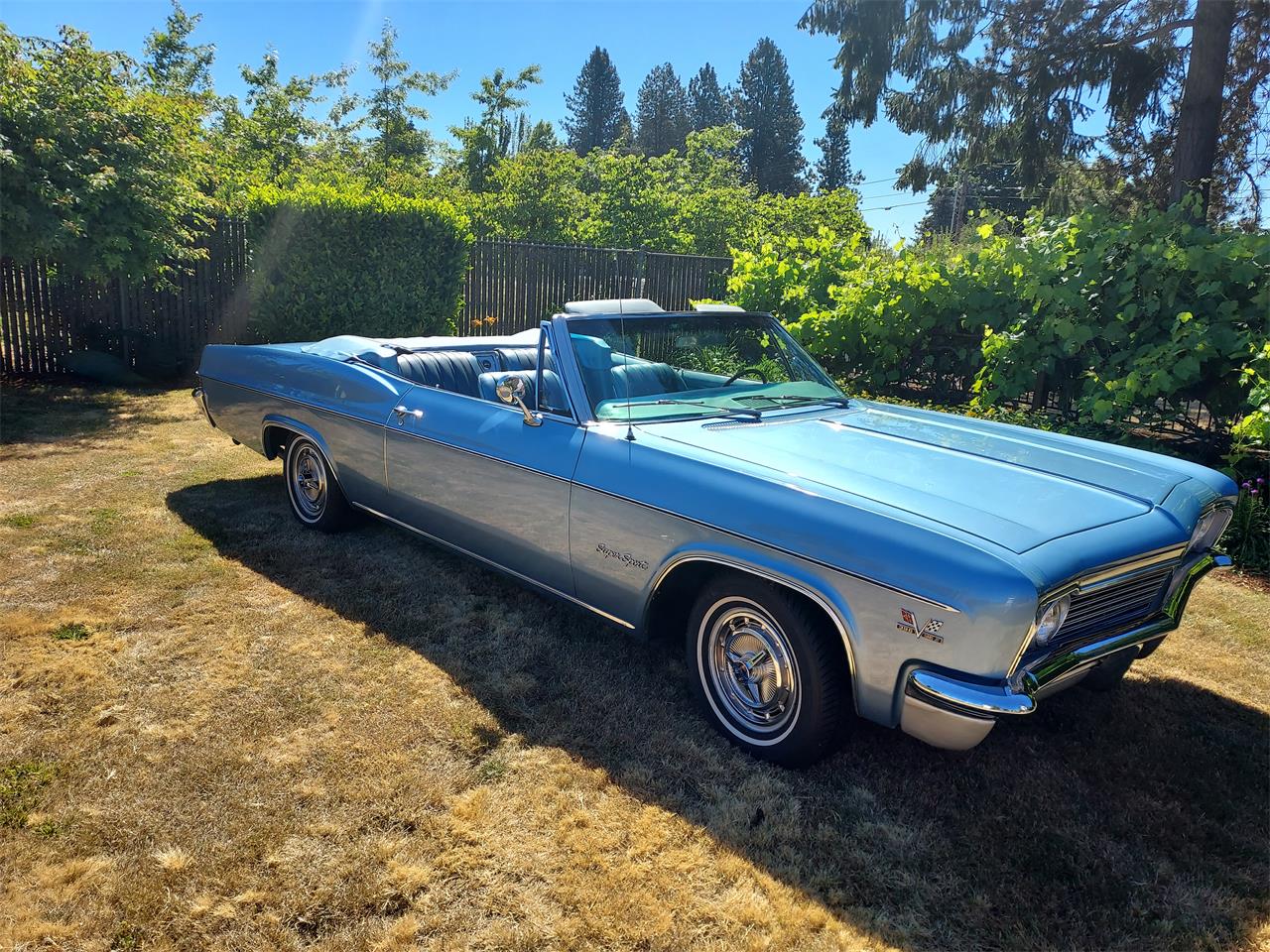 Chevrolet-Impala-ss-1966-Blue-Blue-7