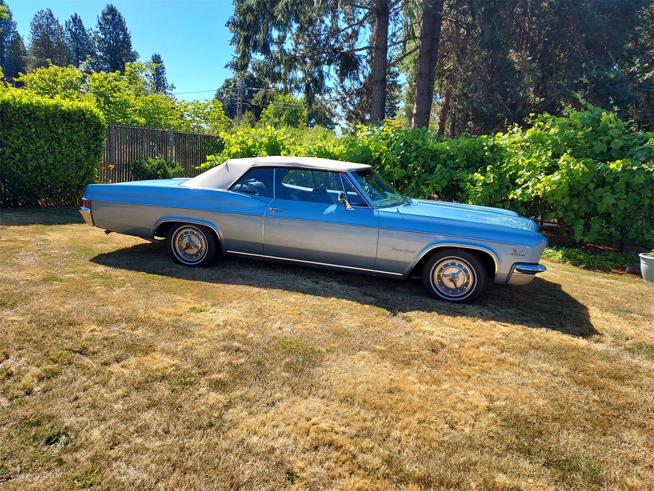 Chevrolet-Impala-ss-1966-Blue-Blue-8