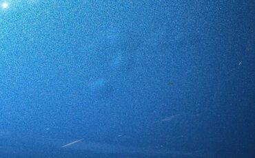 Chevrolet-Impala-ss-1966-Mist-Blue-Blue-24