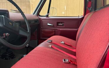 Chevrolet-K-20-1979-13