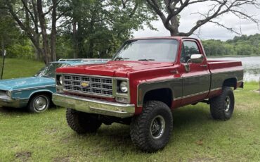Chevrolet-K-20-1979-2