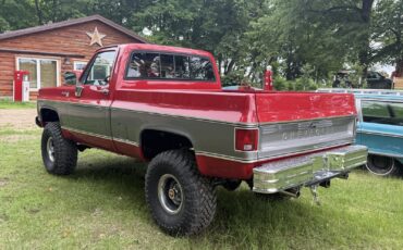 Chevrolet-K-20-1979-3