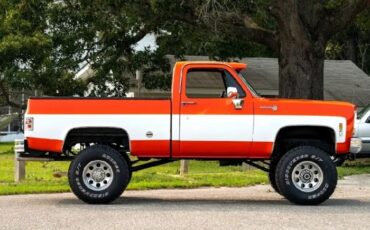 Chevrolet-K10-1976-Orange-6