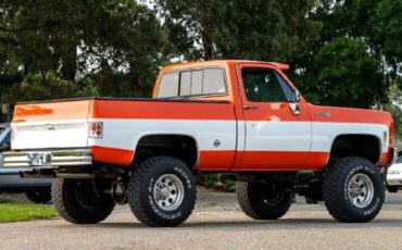 Chevrolet-K10-1976-Orange-9