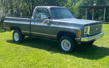 Chevrolet-K10-1978-Standard-Cab-Pickup-3
