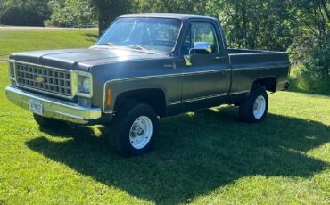 Chevrolet-K10-1978-Standard-Cab-Pickup-8