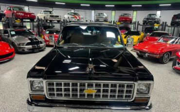 Chevrolet-K5-blazer-1980-SUV-8