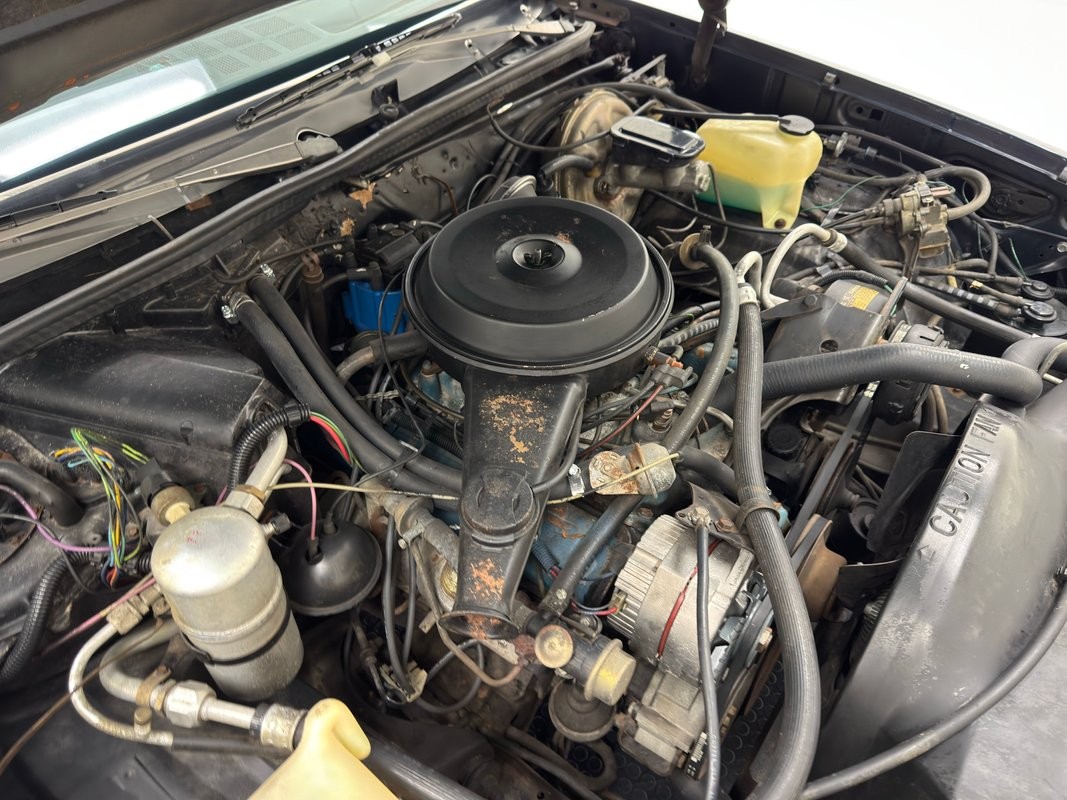 Chevrolet-Malibu-1980-Hardtop-18