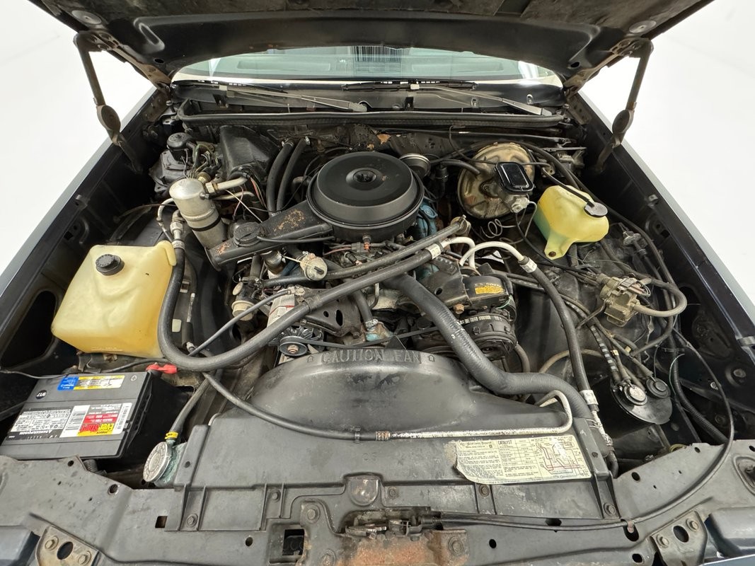 Chevrolet-Malibu-1980-Hardtop-19