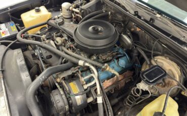 Chevrolet-Malibu-1980-Hardtop-20