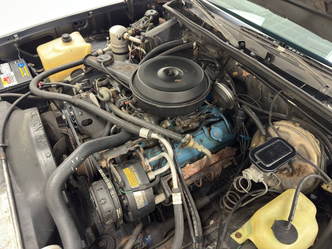 Chevrolet-Malibu-1980-Hardtop-20