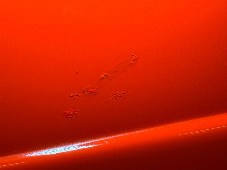 Chevrolet-Master-deluxe-1938-Orange-Gray-35