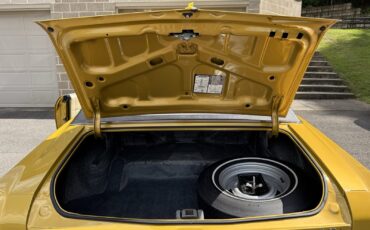 Chevrolet-Monte-Carlo-1971-11