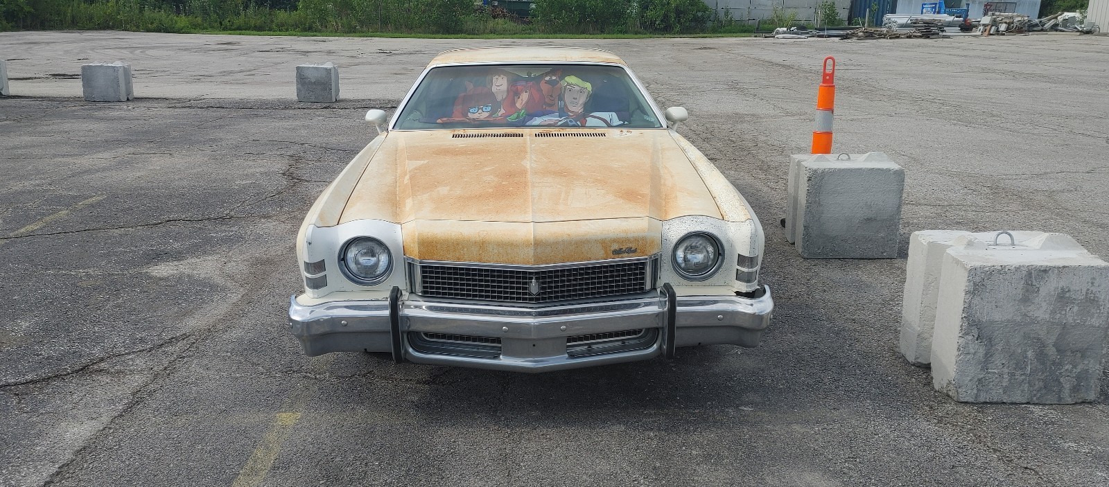 Chevrolet-Monte-Carlo-1973-Coupe-11