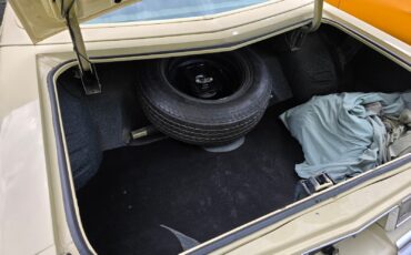 Chevrolet-Monte-Carlo-1974-Coupe-20