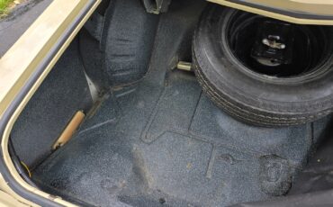 Chevrolet-Monte-Carlo-1974-Coupe-21
