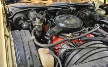 Chevrolet-Monte-Carlo-1974-Coupe-8